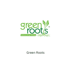 Green Roots BeeHive Consultants Corporate Training SDGs Faisal Shaikh